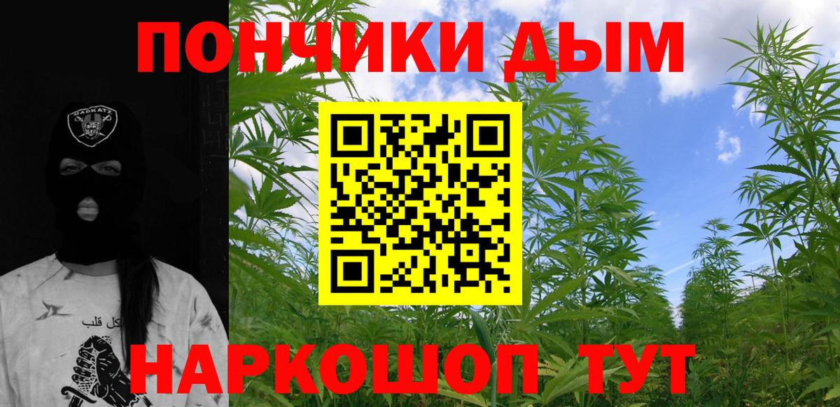 Конопля конопля  Вход с VPN  Кимовск  Конопля SATIVA & INDICA 